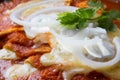 Mexican red enchiladas Royalty Free Stock Photo