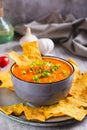 Traditional Mexican Salsa Sauce In A Bowl And Corn Chips On A Plate Vertical View
