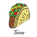 Traditional Mexican Tacos, hand drawn doodle sketch