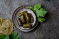 Traditional Middle Eastern dolma or tolma. Grape leaves stuffed with meat and rice. On Gray plate, gray concrete