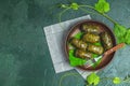 Traditional Middle Eastern dolma or tolma or sarma Royalty Free Stock Photo