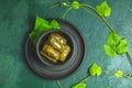 Traditional Middle Eastern dolma or tolma or sarma