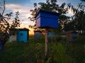 Traditional mobile honey farm apiary sunset nature leaves garden