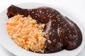 Traditional mole Poblano with rice in plate isolated