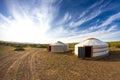 Traditional Mongolian yurt and a pair of cows during a sunset. Gobi Desert, Mongolia.