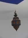 Traditional Moroccan style pendant lamp Royalty Free Stock Photo