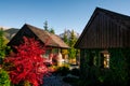 Traditional mountain cottages and Krivan mountain peak, Vysoke Tatry, Slovakia