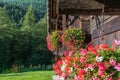 Traditional mountain house with flowered balcony, red geraniums, European Alps