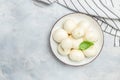 Traditional mozzarella cheese with fresh basil leaves on a light background. Long banner format. top view