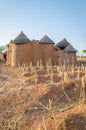 Traditional mud an clay housing of the Tata Somba tribe of nothern Benin and Togo, Africa