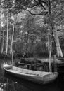 traditional mudcrab or mangrove crab fishing boat Royalty Free Stock Photo