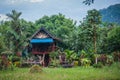 Traditional multicolored wooden house in the rain forest of Khao Sok sanctuary, Thailand