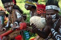 Traditional Musician of Papua Royalty Free Stock Photo