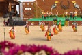 Traditional Naga dance being performed by womenfolk Royalty Free Stock Photo