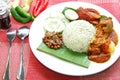 Traditional Nasi Lemak Royalty Free Stock Photo