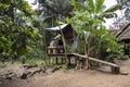 Traditional native american outdoor cooking oven in the rainforest of Amazon River basin in South America