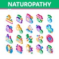 Traditional Naturopathy Isometric Icons Set Vector