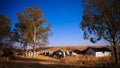 Traditional Ndebele hut at Botshabelo, Mpumalanga, South Africa