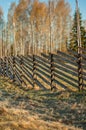 Traditional Northern European roundpole fence in a grass field during autumn. Old rustic and weathered wooden fence in the Royalty Free Stock Photo