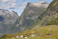 Traditional norwegian mountain landscape with old wooden houses. Royalty Free Stock Photo