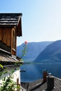 Traditional old austrian wooden house in Hallstatt, Austria. The roof of the house and a lonely rose on the background of the Aust Royalty Free Stock Photo