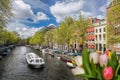 Traditional old buildings and boat on canal against colorful tulips in Amsterdam, Netherlands Royalty Free Stock Photo