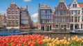 Traditional old buildings and tulips in Amsterdam a cenic view Royalty Free Stock Photo