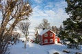 Traditional old red wooden country houses in winter. Ornamental shrubs around the house. Snow covered pine fir trees in the yard. Royalty Free Stock Photo