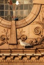 Traditional old seaside town hippodrome theatre facade with seagull.