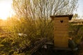 Traditional old wooden outhouse in the garden in summer Royalty Free Stock Photo