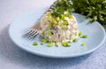 Traditional olivier salad  gourmet mixed   menu rustic delicious    food appetizer   a dish preparation garnish Royalty Free Stock Photo