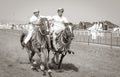 Traditional omani horse race Royalty Free Stock Photo