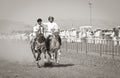 Traditional omani horse race Royalty Free Stock Photo