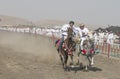 Traditional omani horse race Royalty Free Stock Photo