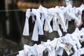 Traditional omikuji white paper with fortune telling with kanji symbols knotted to a rope at shinto shrine in Japan Royalty Free Stock Photo