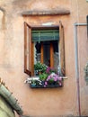 Colourful Flower Pot in Venice Window, Italy