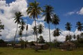 Traditional and original village with palmtrees in West Papua Royalty Free Stock Photo