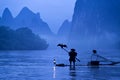 Traditional Osprey fishing in Guilin, China