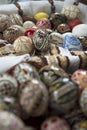 Traditional painted Easter egg from Bucovina, Romania.