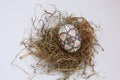 Traditional painted handmade Easter egg on hay Royalty Free Stock Photo