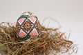 Traditional painted handmade Easter egg on hay Royalty Free Stock Photo