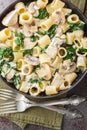 Traditional pasta with chicken meat, fried mushrooms, garlic and spinach in creamy cheese sauce close-up in a plate on the table. Royalty Free Stock Photo