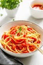 Traditional pasta with tomato and Greek basil sauce Royalty Free Stock Photo