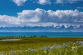 Traditional pasture in the high mountains. Kyrgyzstan. Song Kol Lake