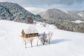 Traditional peasant house covered with snow in the Pestera Village near Moeciu and Bran Romania Royalty Free Stock Photo