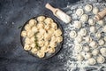 Traditional pelmeni, ravioli, dumplings filled with meat on plate, homemade raw pastry dumplings with meat filling. baking Royalty Free Stock Photo