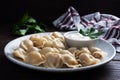 Traditional pelmeni, ravioli, dumplings filled with meat on plate, russian kitchen. Wooden rustic background, copy space Royalty Free Stock Photo