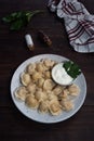 Traditional pelmeni, ravioli, dumplings filled with meat on plate, russian kitchen. Wooden rustic background, copy space Royalty Free Stock Photo