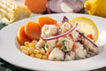 Traditional peruvian ceviche with fish, sweet potato, corn and vegetables Royalty Free Stock Photo