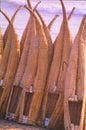 Traditional Peruvian reed boats (Caballitos de Totora), straw boats that are still used by local fishermen in Peru Royalty Free Stock Photo